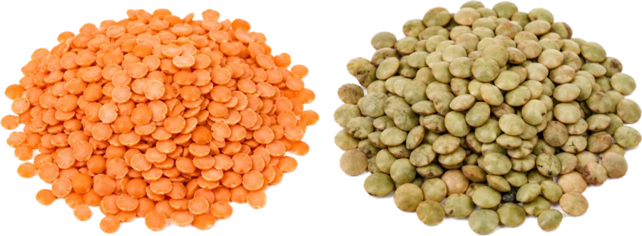 Lentils