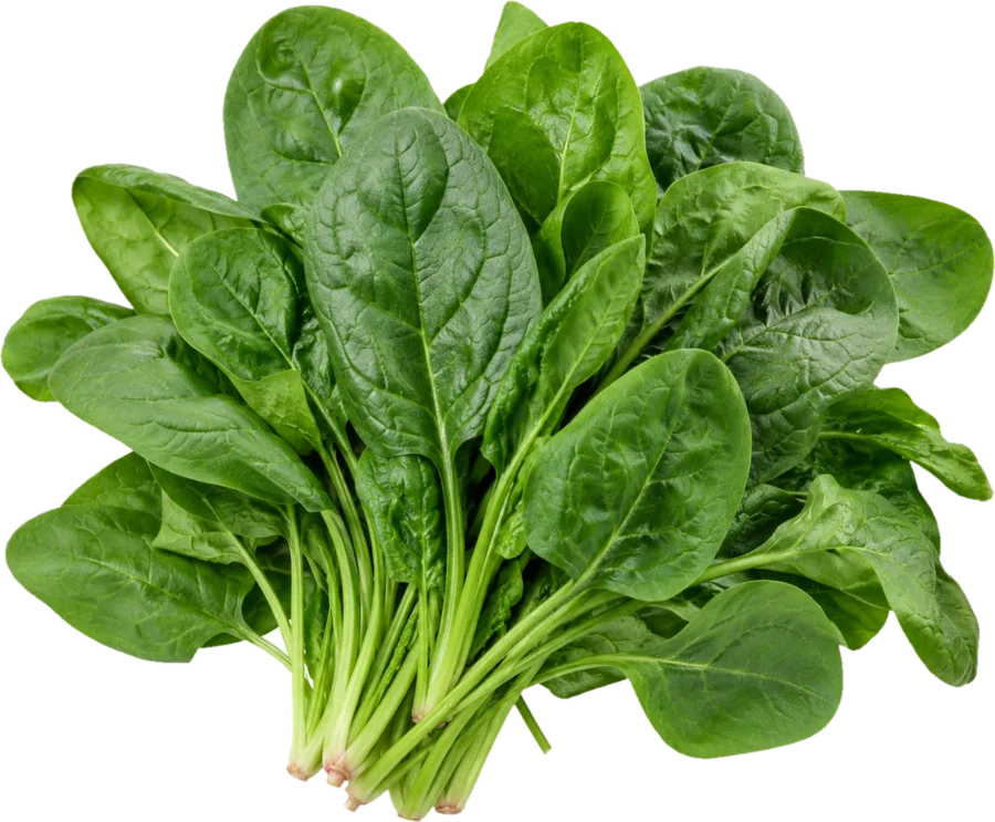 Spinach